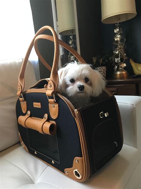 luxury dog carriers for sale.